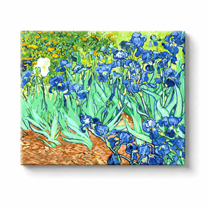 Blue Iris Garden Paint by Numbers Kit