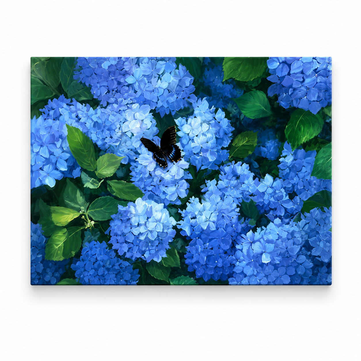 Black Butterfly on Hydrangeas Paint by Numbers Kit