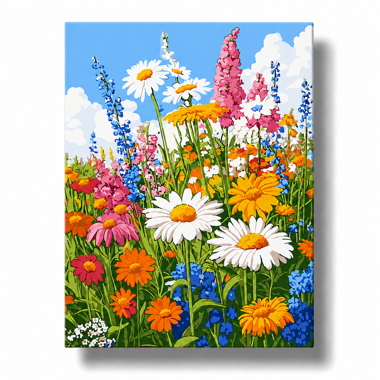 Blooming Wildflower Meadow