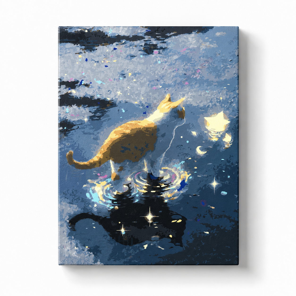 Shadow and Light Kitten
