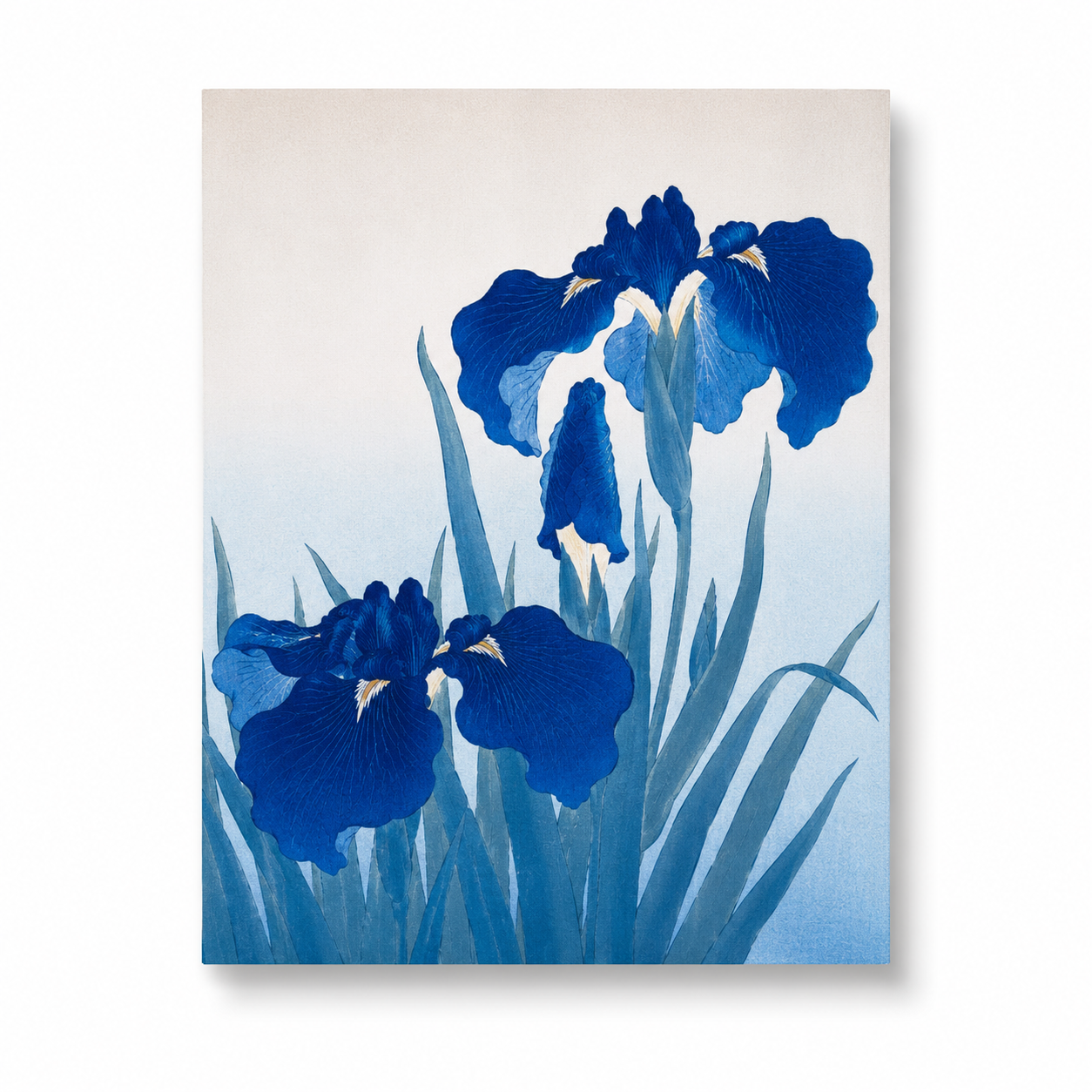 Iris Flowers by Ohara Koson