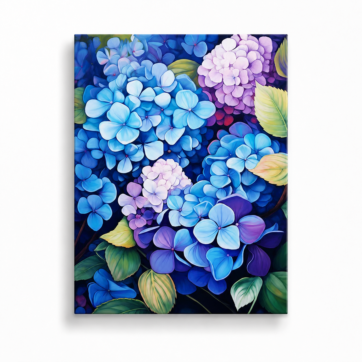Summer Hydrangea